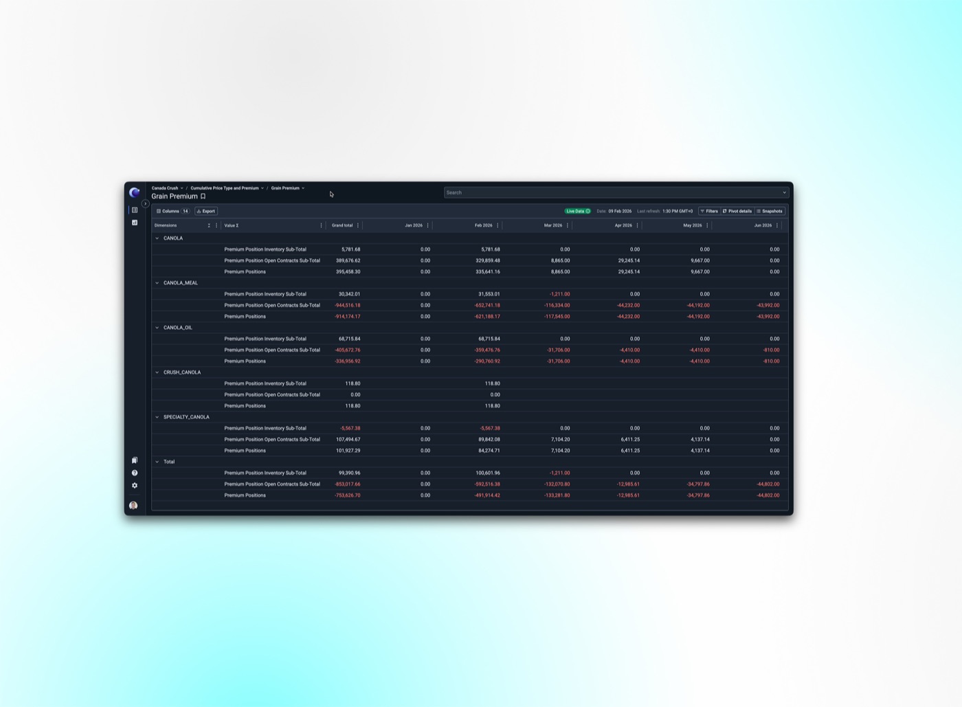 Full Grain Premium report on screen